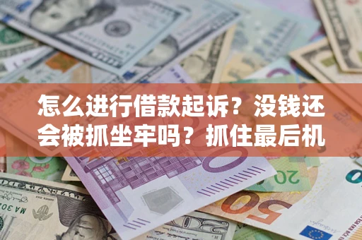 济南怎么进行借款起诉？没钱还会被抓坐牢吗？抓住最后机会！