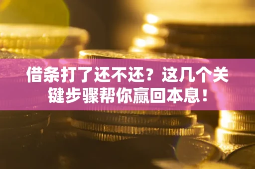 济南借条打了还不还？这几个关键步骤帮你赢回本息！