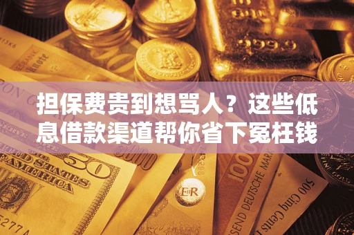 济南担保费贵到想骂人？这些低息借款渠道帮你省下冤枉钱