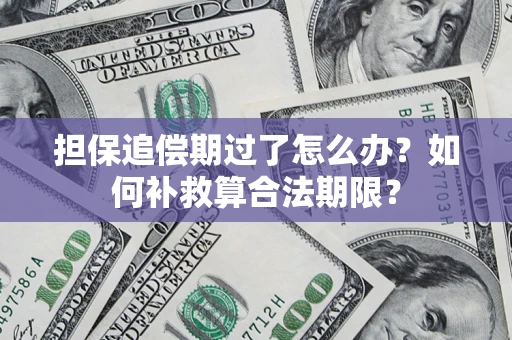 济南担保追偿期过了怎么办？如何补救算合法期限？