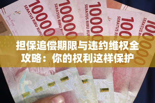 济南担保追偿期限与违约维权全攻略：你的权利这样保护