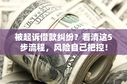 济南被起诉借款纠纷？看清这5步流程，风险自己把控！